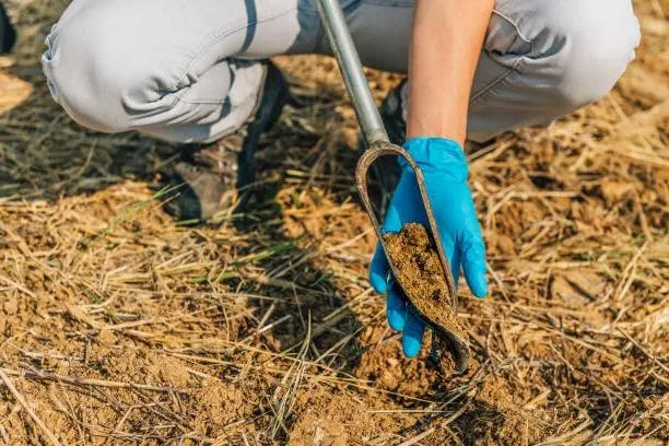 Geotechnical Investigation Image